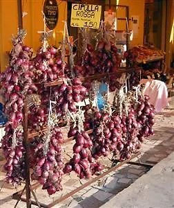 Enjoy Manuela - Free Parking & Private Garden Apartament Tropea